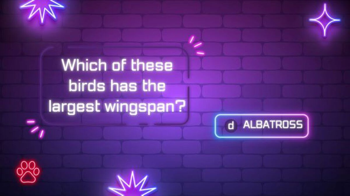 Win-in-8 Trivia image number null
